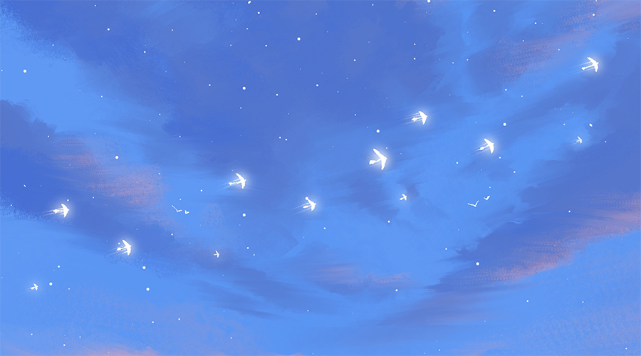 星茶会