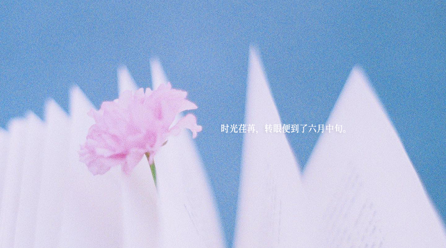 花绽放